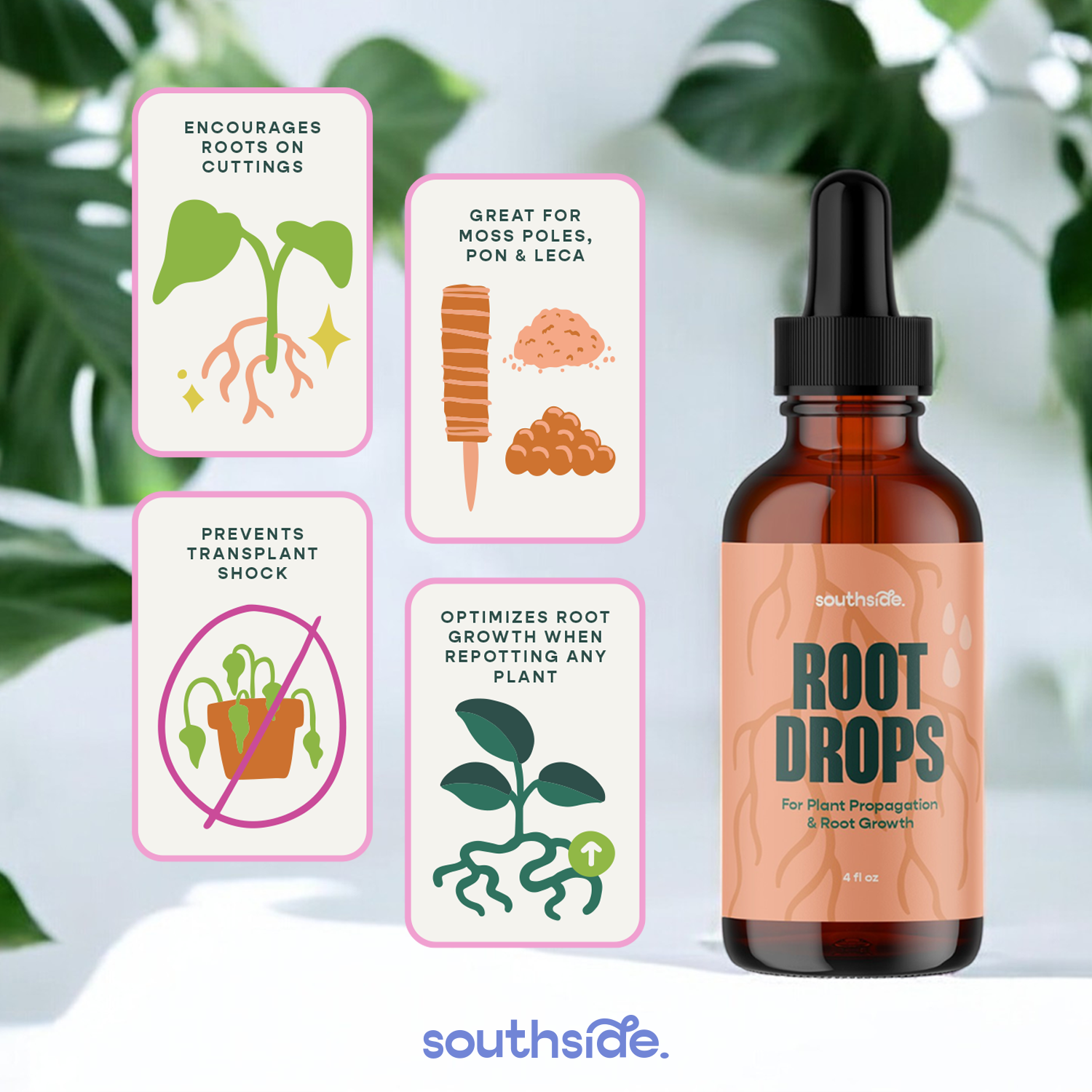 Root Drops - For Propagations & Repotting by Terra Cotta Botanical Boutique
