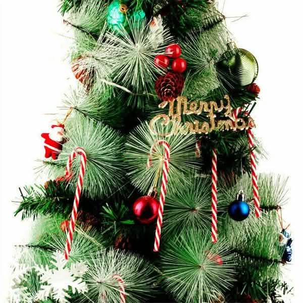 10-Piece: Plastic Candy Cane Ornaments by DailySale