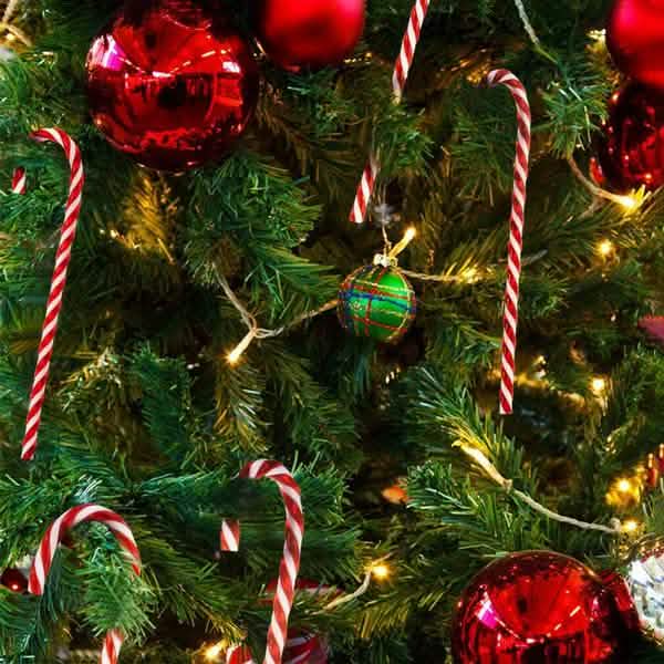 10-Piece: Plastic Candy Cane Ornaments by DailySale