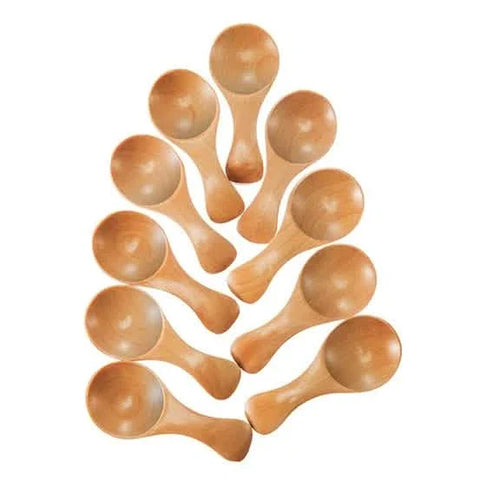 10-Pieces: Mini Wooden Spoons by DailySale