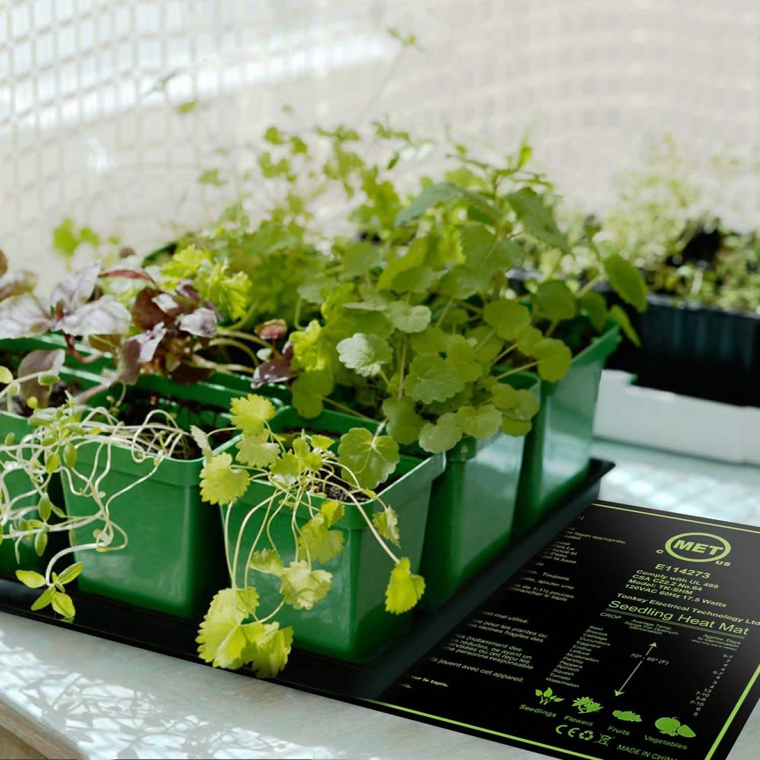 10" x 20" Seedling Heat Mat for Seed Germination by DailySale