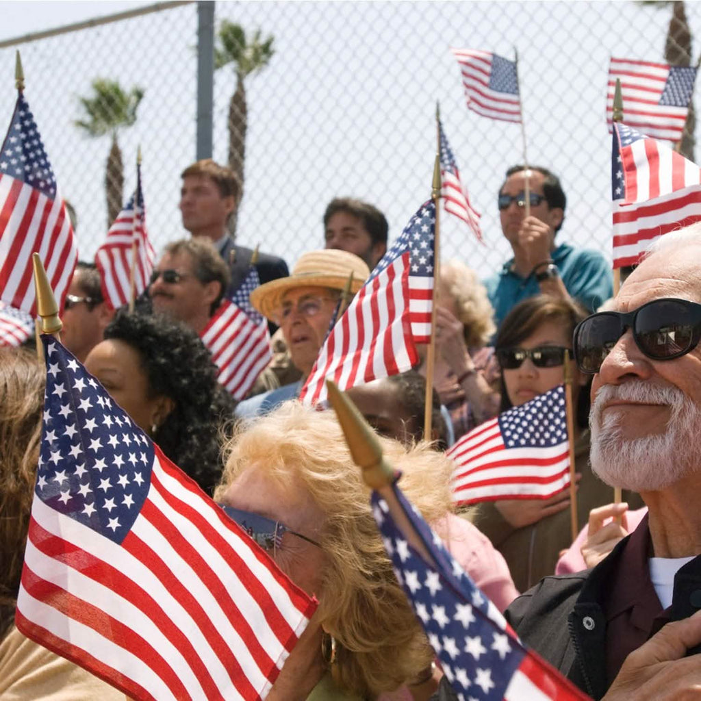 100-Pack: USA 4x6 in Wooden Stick Flag by DailySale