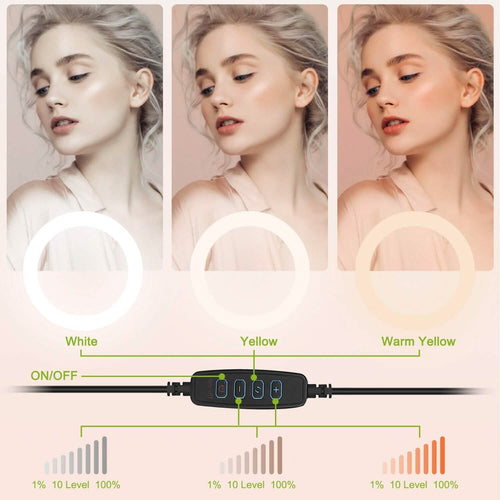 10in 120 LEDs Selfie Ring Light by DailySale