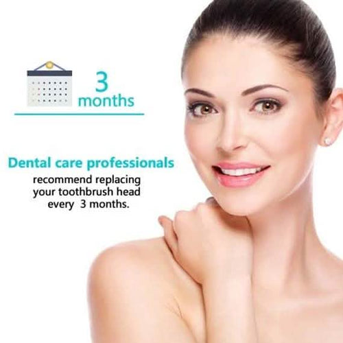 12-Pack: Clean Replacement Electric Toothbrush Heads by DailySale