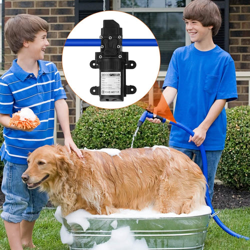 12V Water Pump with 2 Hose Clamps 123PSI Self Priming Sprayer Pump by DailySale