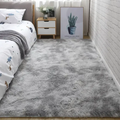 Thick Anti-slip Stability Tassel Shaggy Rug Carpet by DailySale