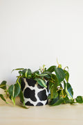 Handpainted Cow Planter | multiple sizes by Terra Cotta Botanical Boutique