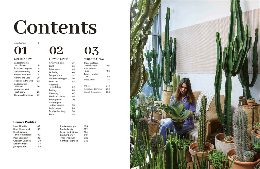 Cacti Succulents
