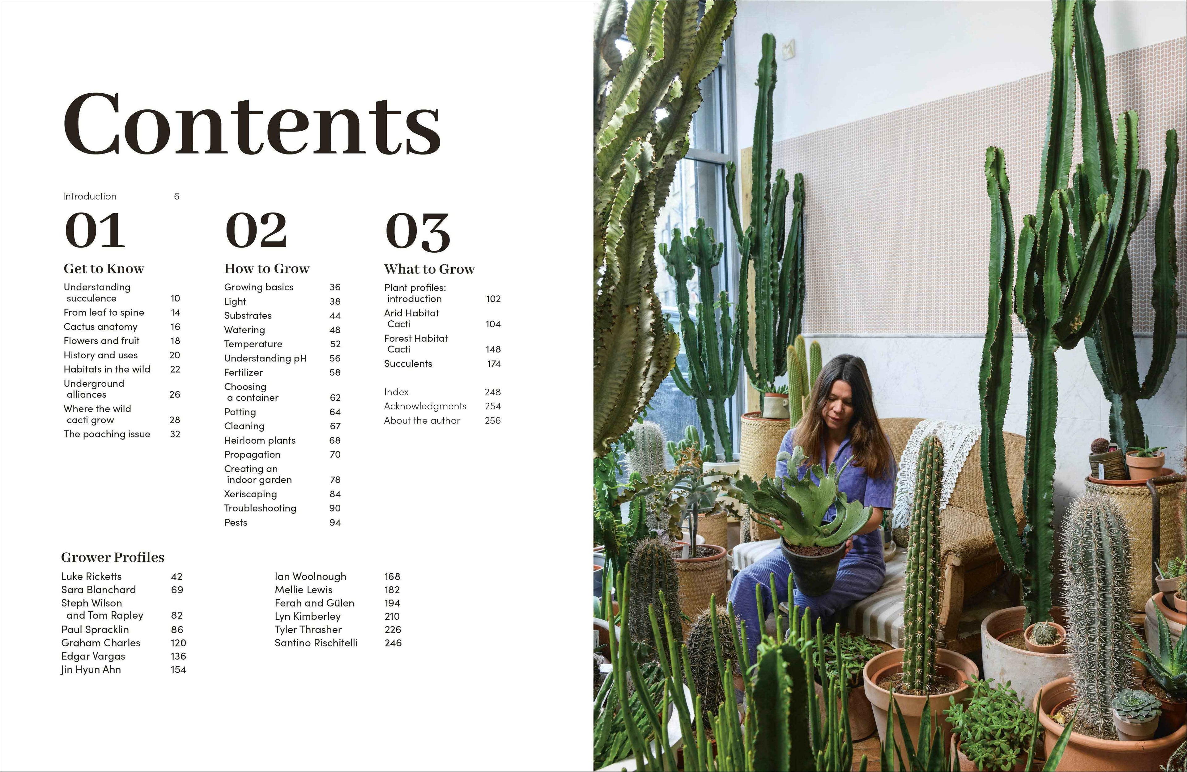 Cacti Succulents