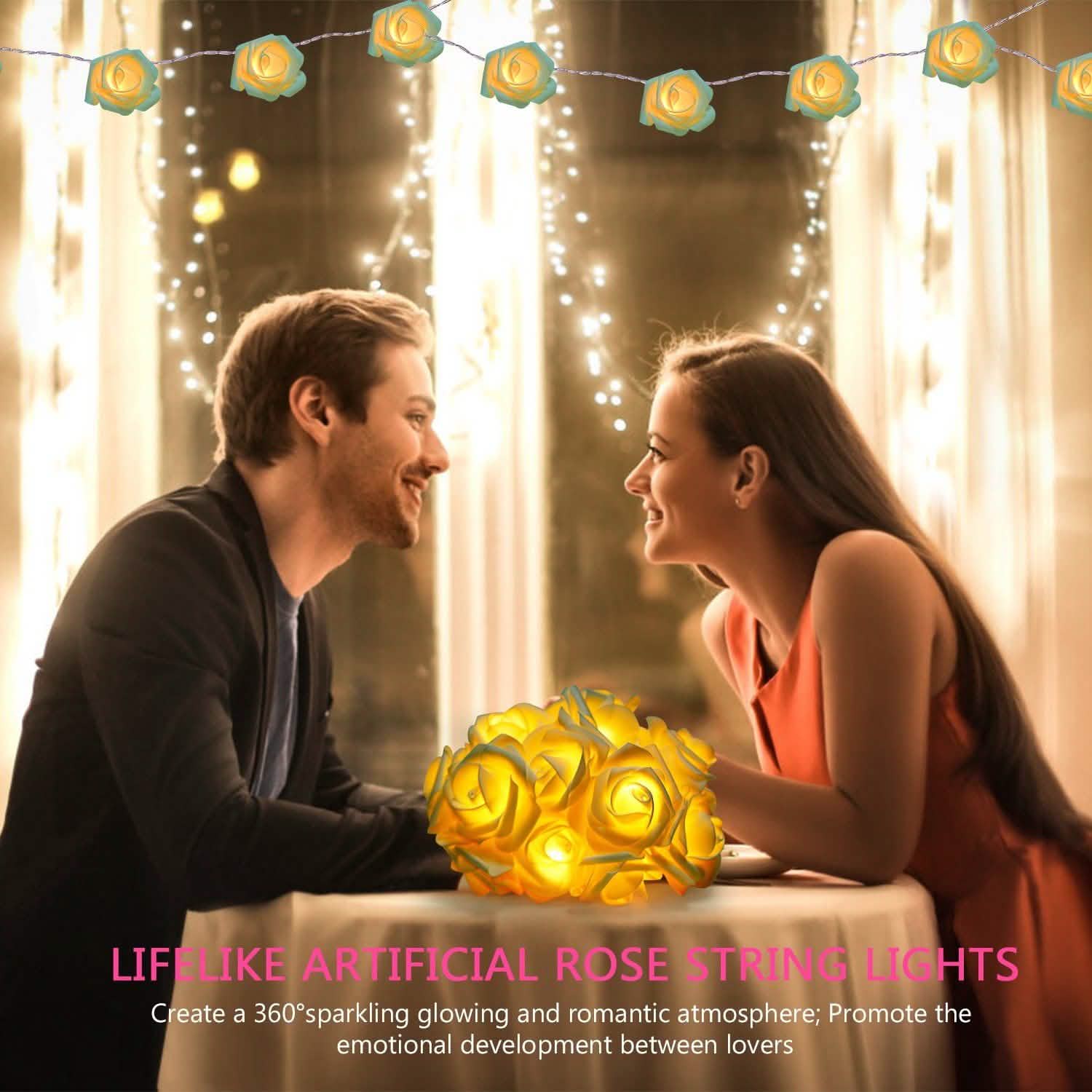 2-Pack: 40 LEDs Rose Flower String Lights by DailySale