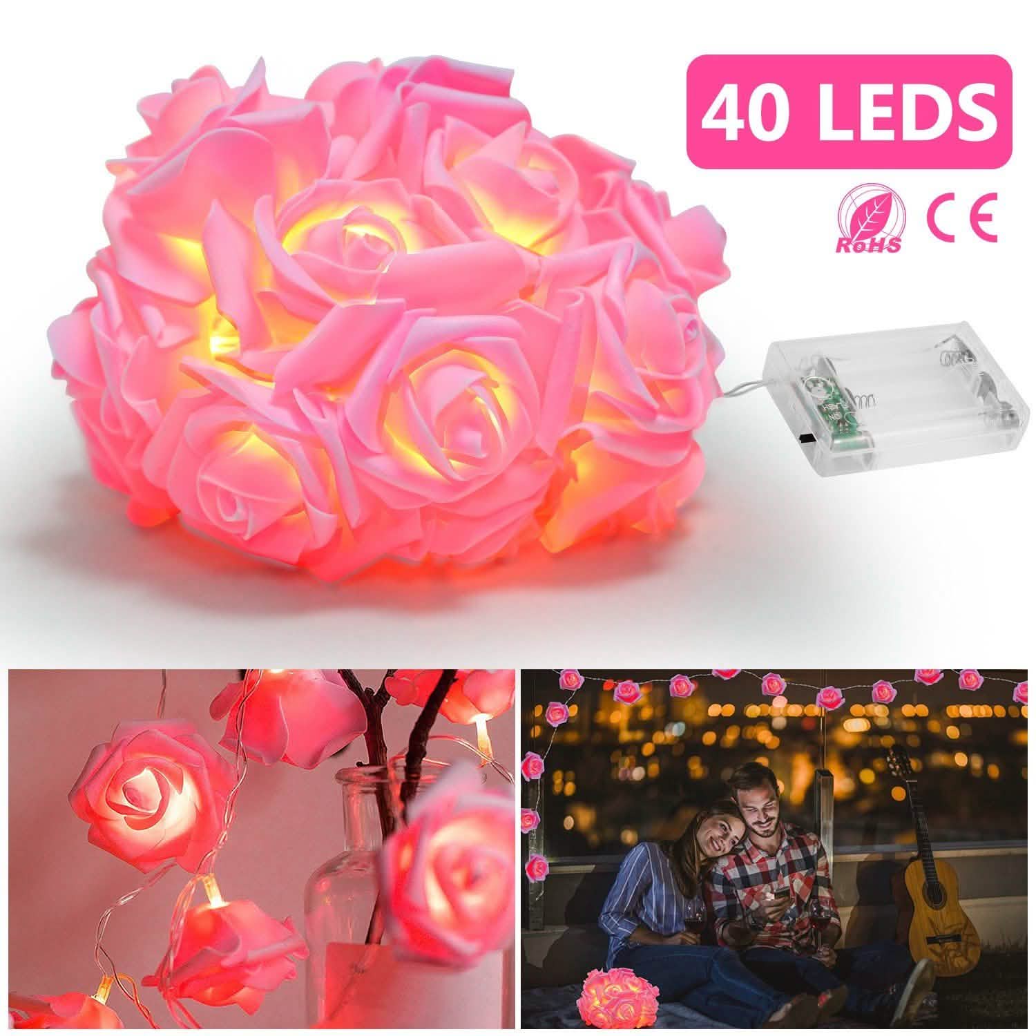 2-Pack: 40 LEDs Rose Flower String Lights by DailySale