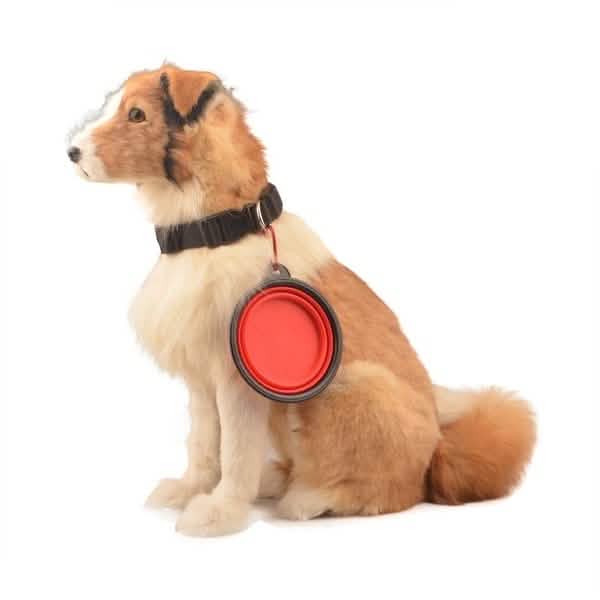 2-Pack: Collapsible Food Water Travel Bowl by DailySale