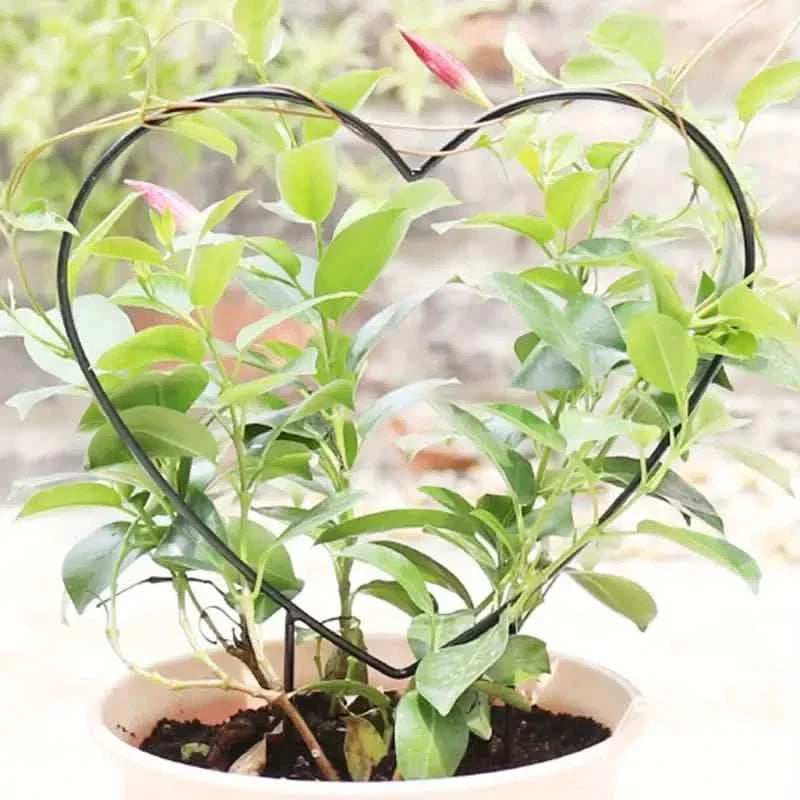 2-Pack: Heart-Shaped Plant Support Stake by DailySale