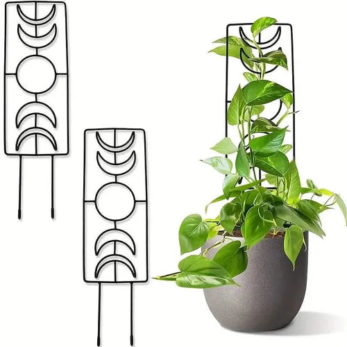 2-Pack: Metal Plant Trellis for Climbing Plants Indoor by DailySale