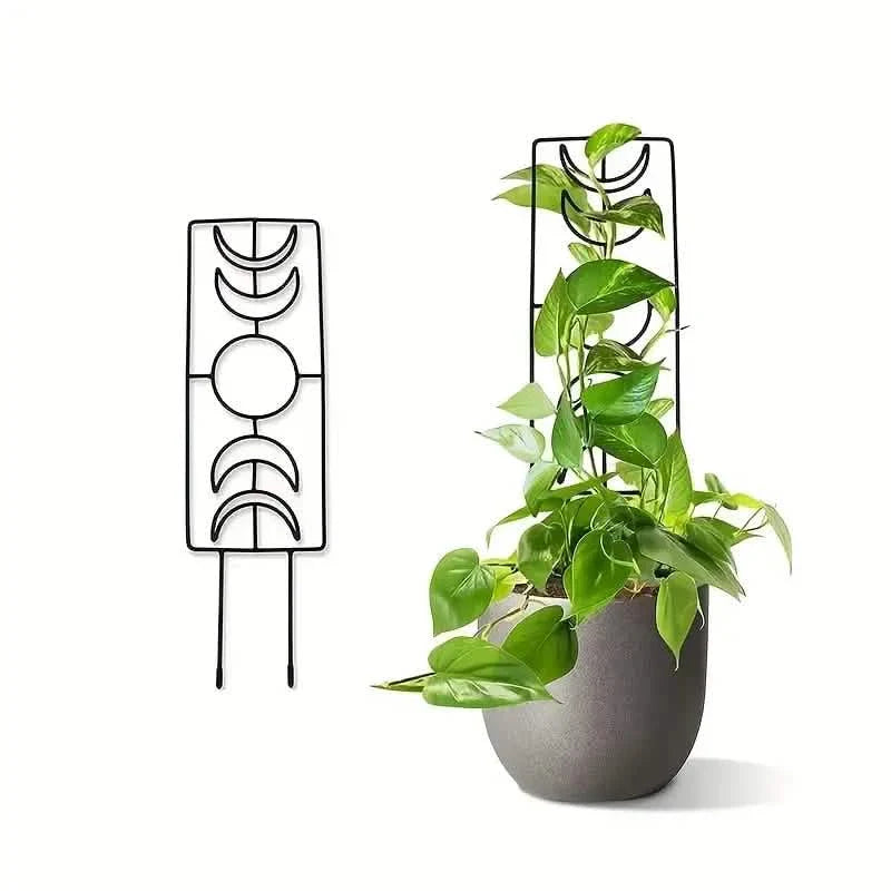 2-Pack: Metal Plant Trellis for Climbing Plants Indoor by DailySale