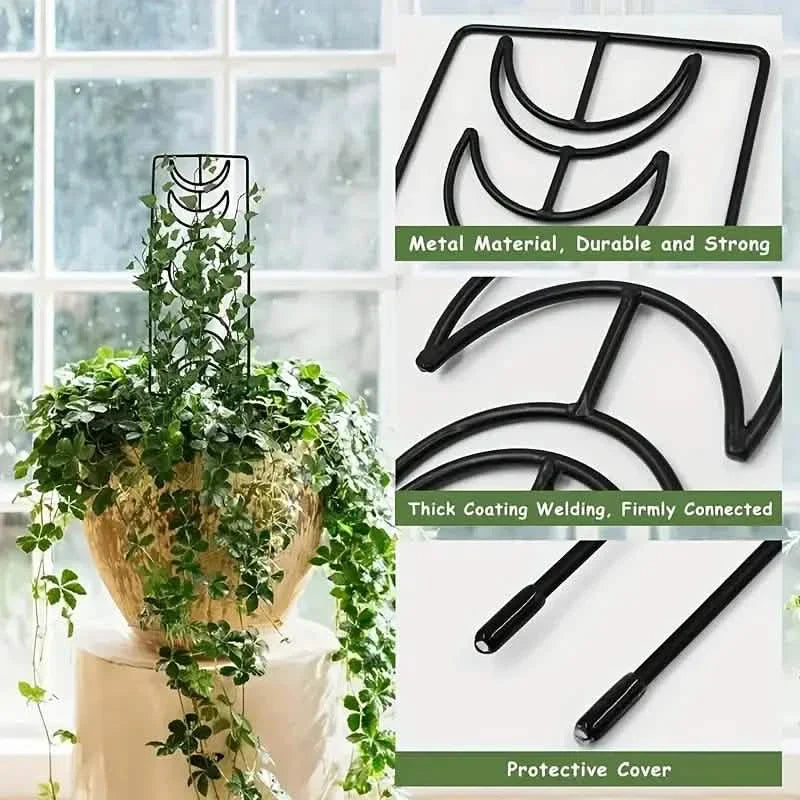 2-Pack: Metal Plant Trellis for Climbing Plants Indoor by DailySale