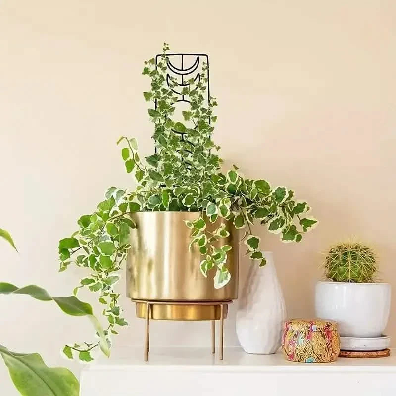 2-Pack: Metal Plant Trellis for Climbing Plants Indoor by DailySale