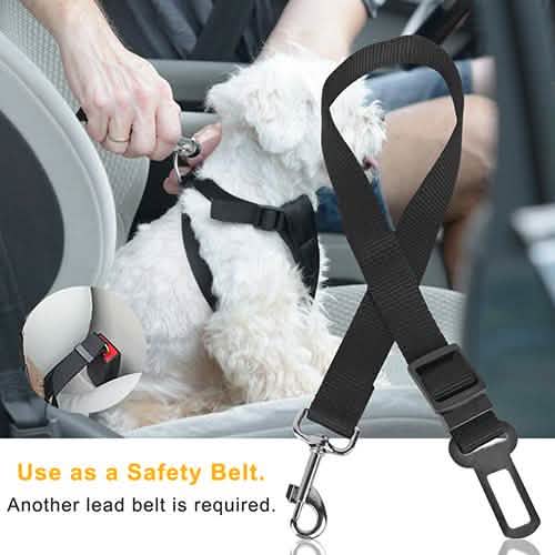 2-Pack: Multipurpose Pet Safety by DailySale