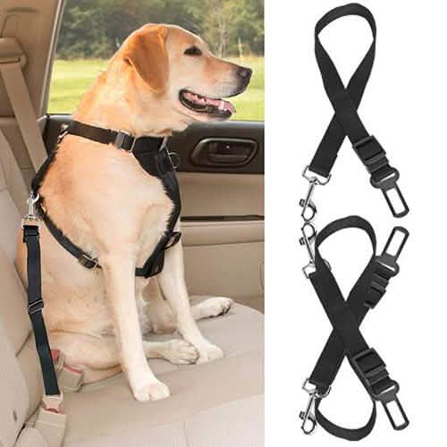 2-Pack: Multipurpose Pet Safety by DailySale