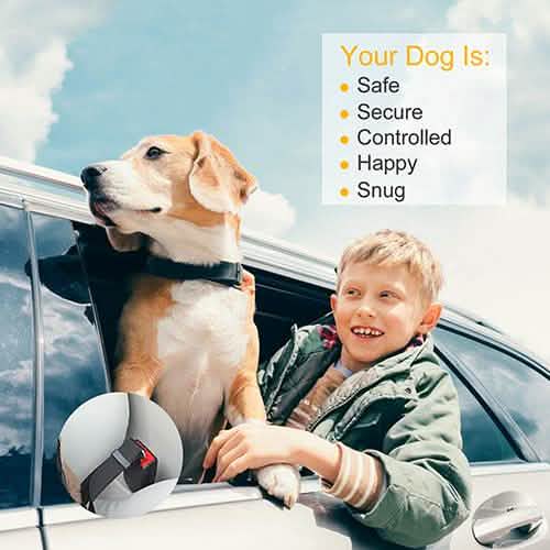 2-Pack: Multipurpose Pet Safety by DailySale