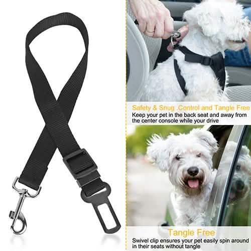 2-Pack: Multipurpose Pet Safety by DailySale