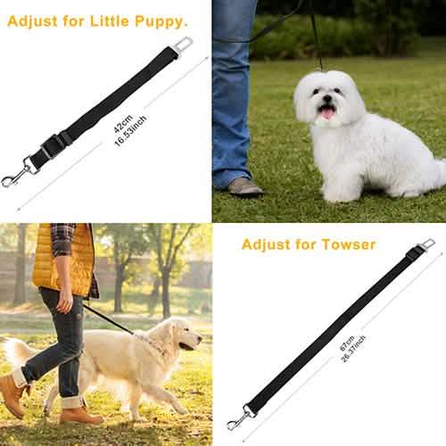 2-Pack: Multipurpose Pet Safety by DailySale