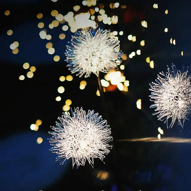 2-Pack: Outdoor Solar Dandelion Lawn Lights by DailySale