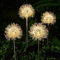 2-Pack: Outdoor Solar Dandelion Lawn Lights by DailySale