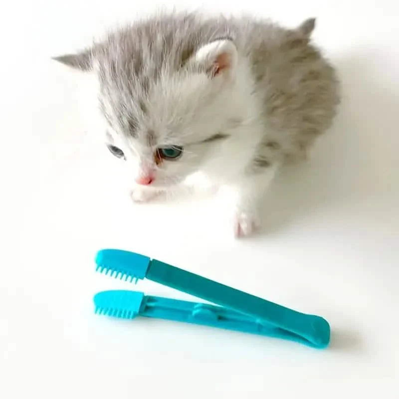 2-Pack: Pet Eye Comb Brush Pet Tear Stain Remover Comb Cleaning Grooming Tools by DailySale