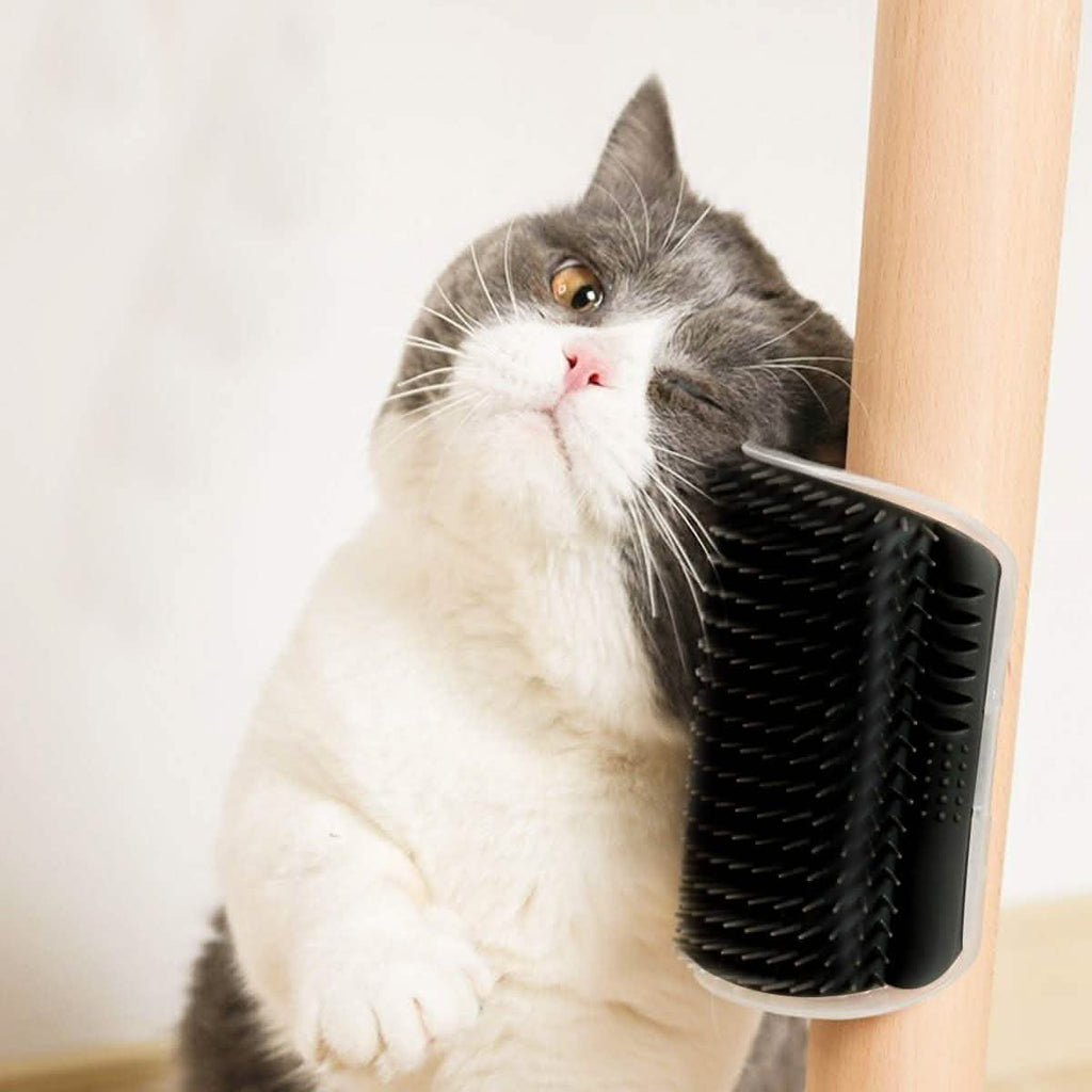 2-Pack: Soft Cat Corner Self Groomer Brush by DailySale