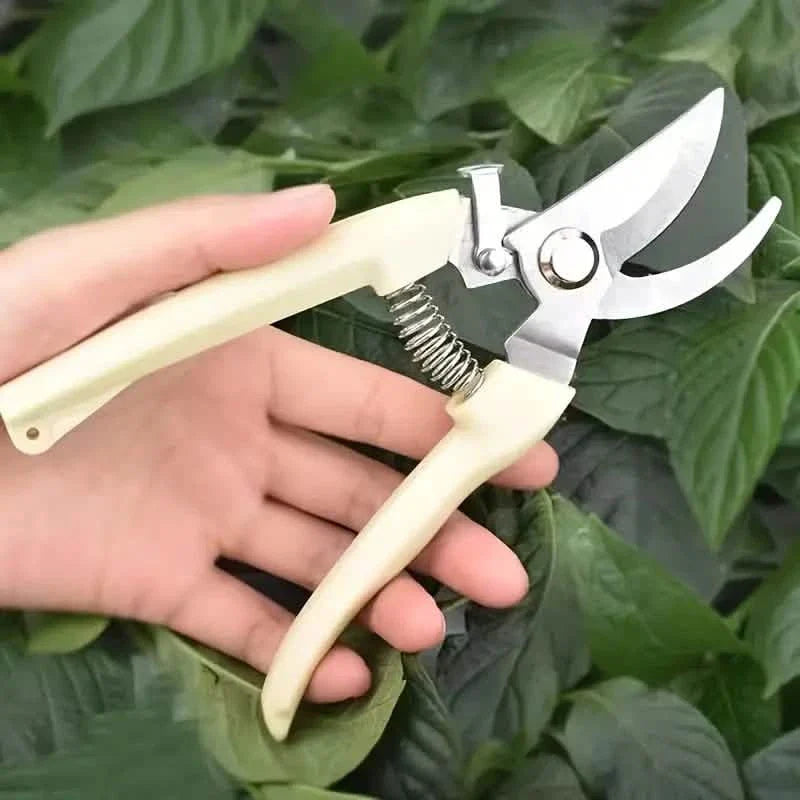 2-Pack: Stainless Steel Bypass Pruning Shears by DailySale