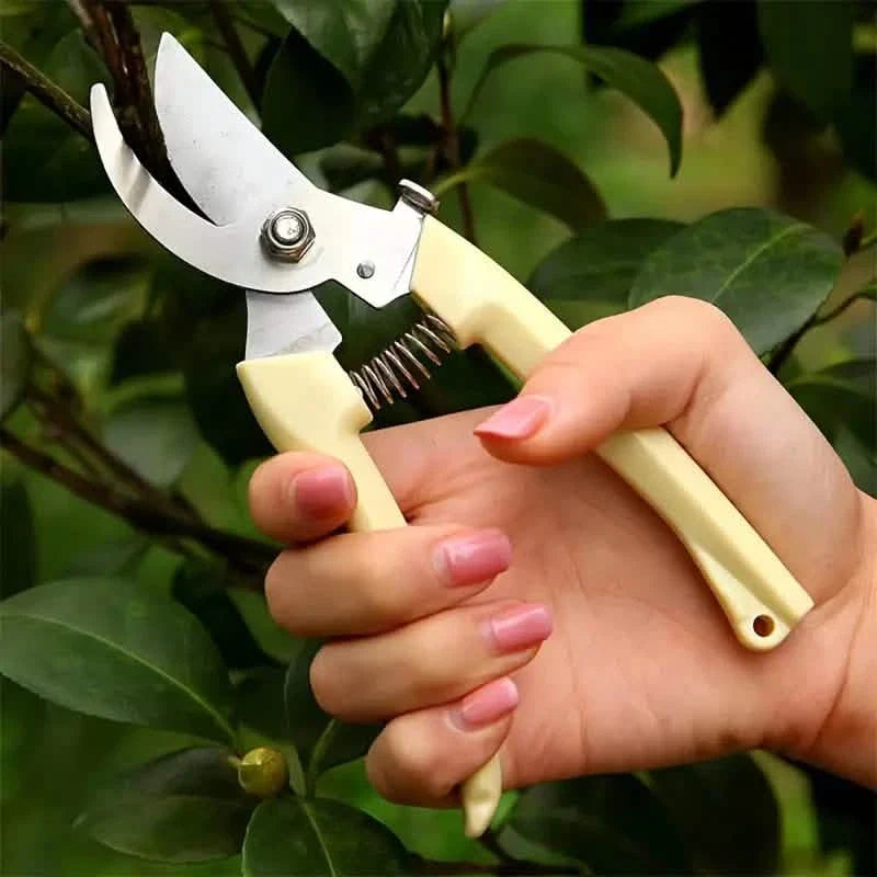 2-Pack: Stainless Steel Bypass Pruning Shears by DailySale