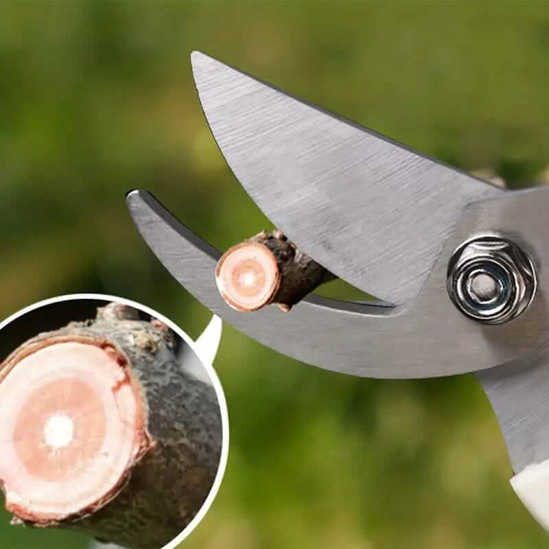 2-Pieces: Garden Pruning Shears Set Sharp Blades by DailySale