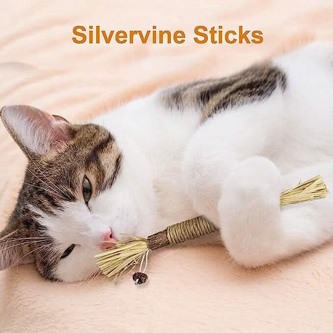 3-Pack: Silvervine Sticks Cat Toys by DailySale