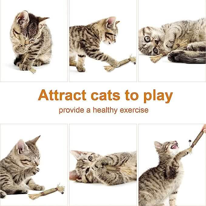 3-Pack: Silvervine Sticks Cat Toys by DailySale