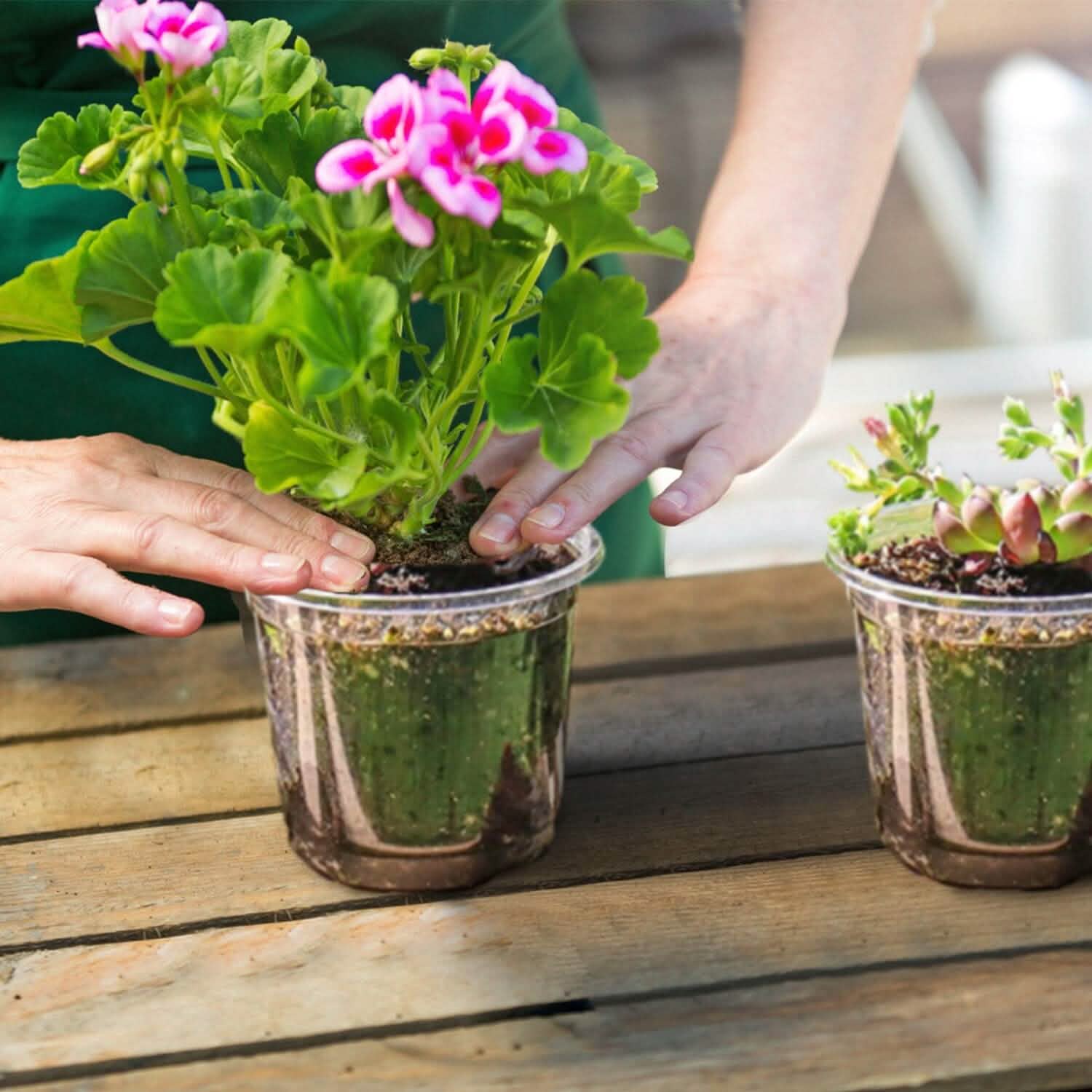 30-Pieces: Plant Nursery Pots PET Flower Seed Starting Pots Container with Dome Drainage Holes by DailySale