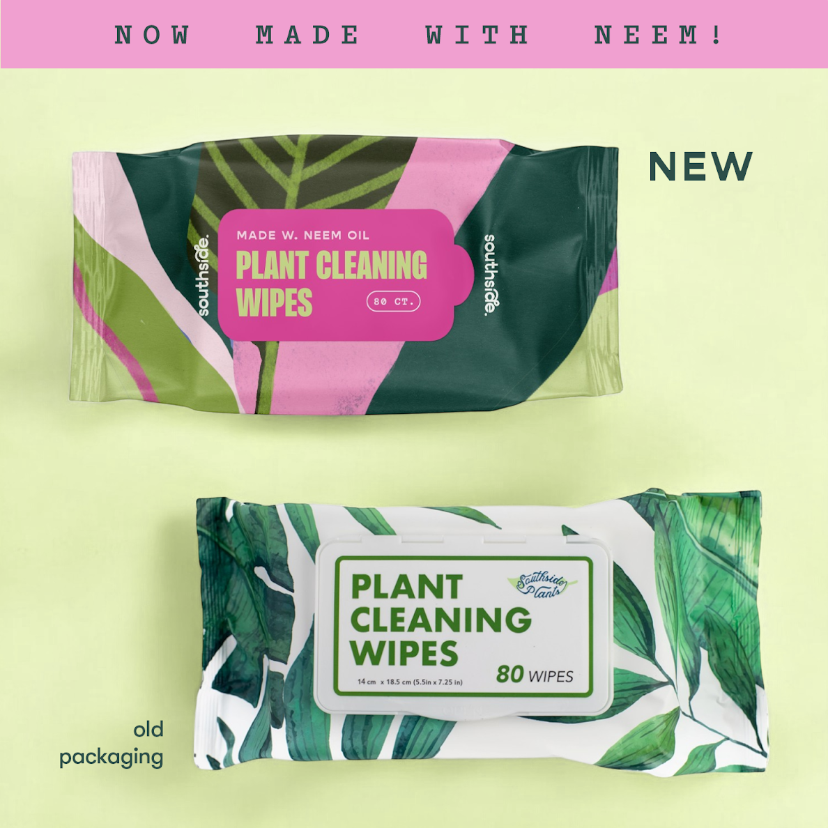 Houseplant Cleaning Wipes by Terra Cotta Botanical Boutique