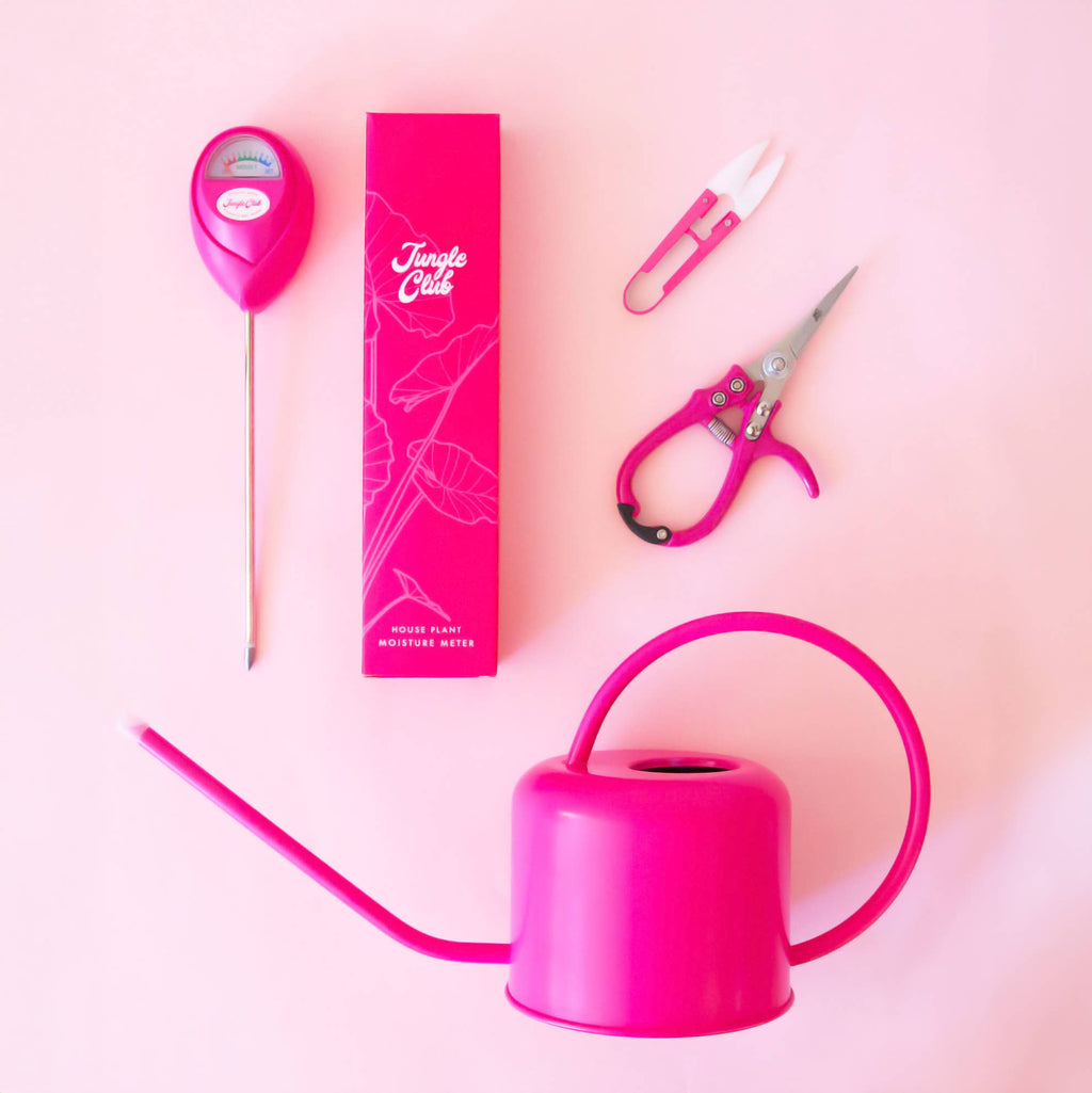 Moisture Meter | Hibiscus by Terra Cotta Botanical Boutique
