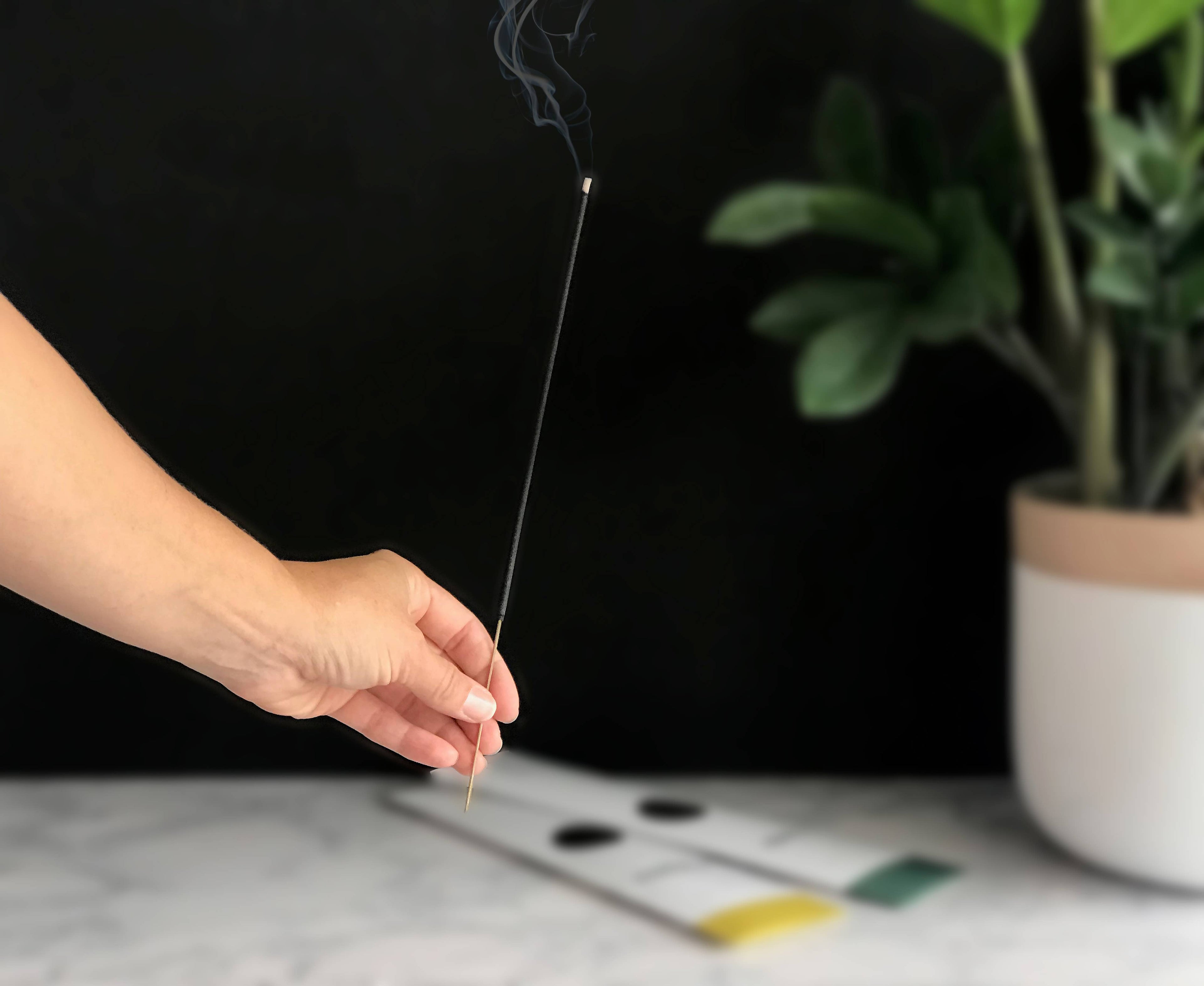 Reef Incense by Terra Cotta Botanical Boutique
