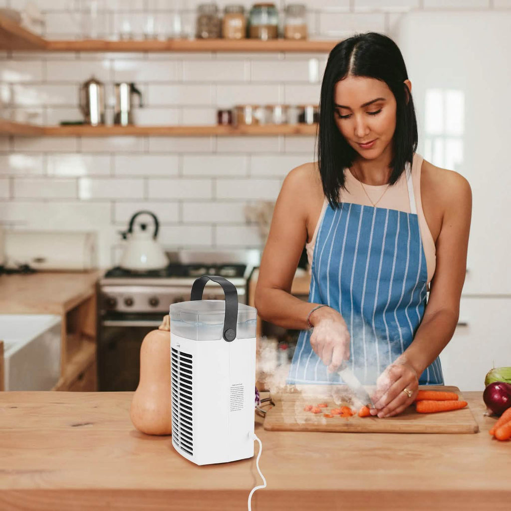 4-in-1 Evaporative Air Cooler Water Mist Cooling Fan by DailySale