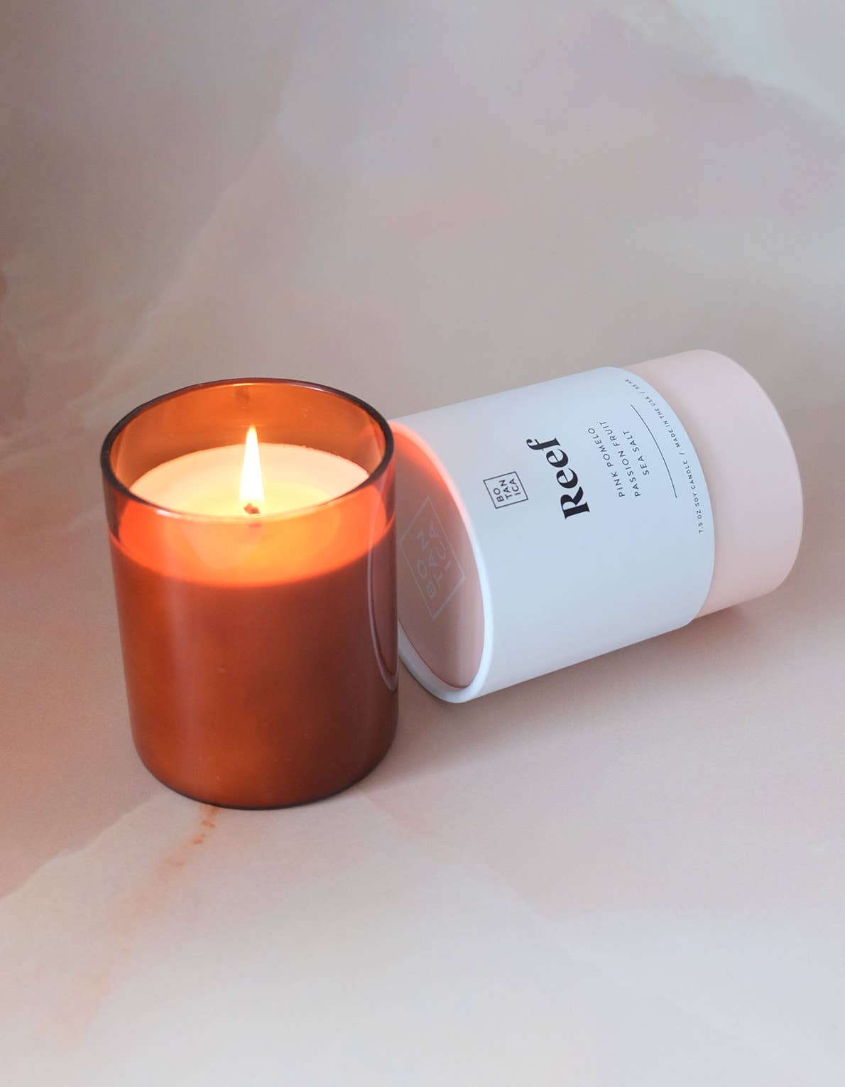 Reef Medium Candle | 7.5oz by Terra Cotta Botanical Boutique