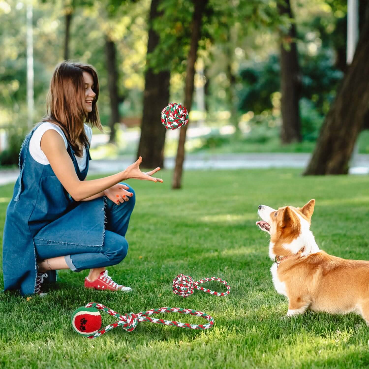 5-Pieces: Christmas Dog Rope Chew Toys by DailySale
