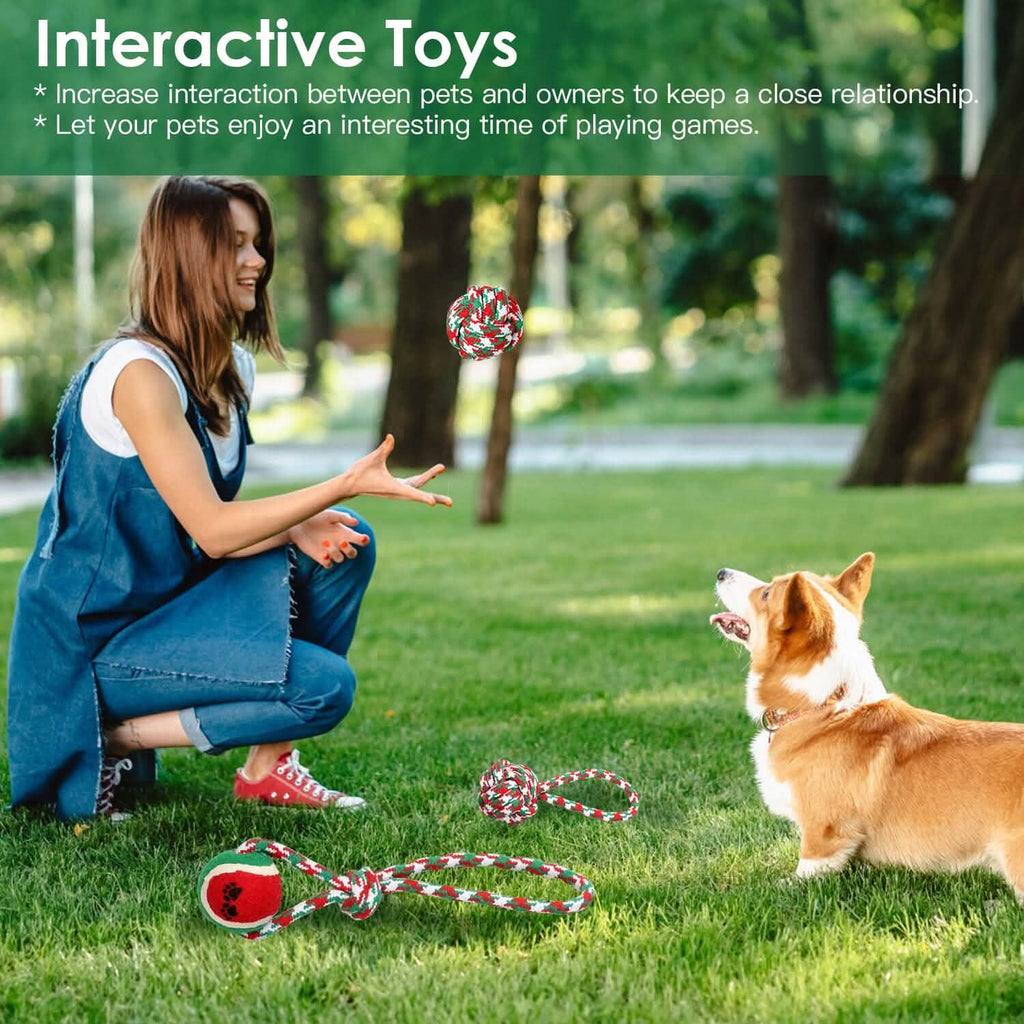 5-Pieces: Christmas Dog Rope Chew Toys by DailySale