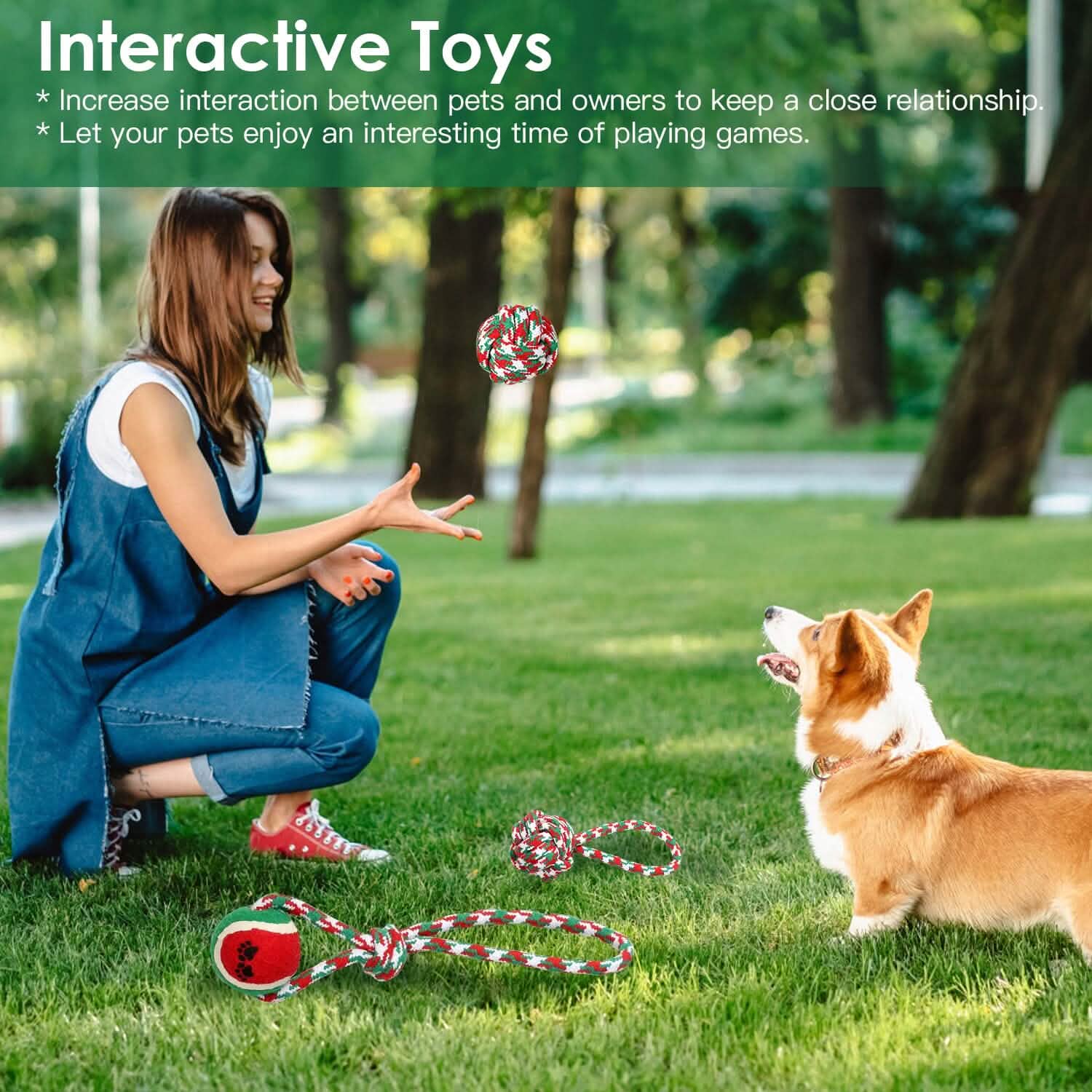 5-Pieces: Christmas Dog Rope Chew Toys by DailySale