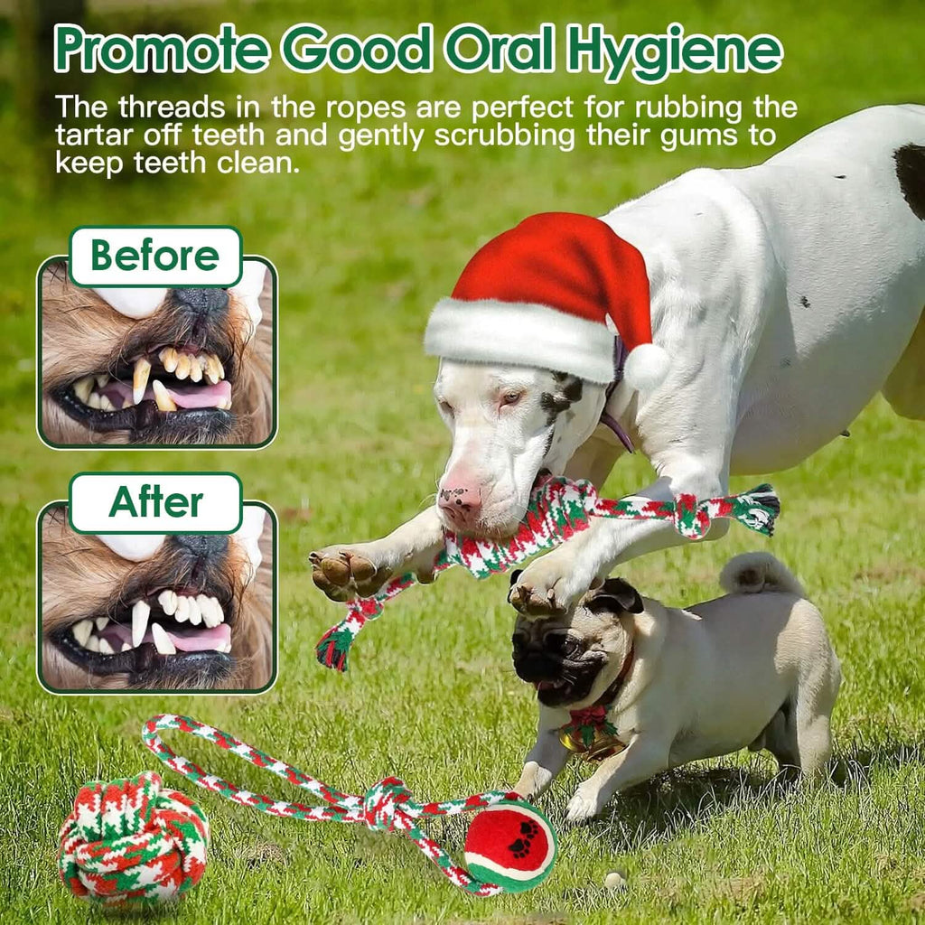 5-Pieces: Christmas Dog Rope Chew Toys by DailySale