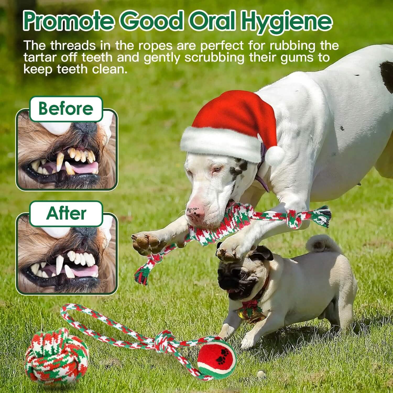 5-Pieces: Christmas Dog Rope Chew Toys by DailySale