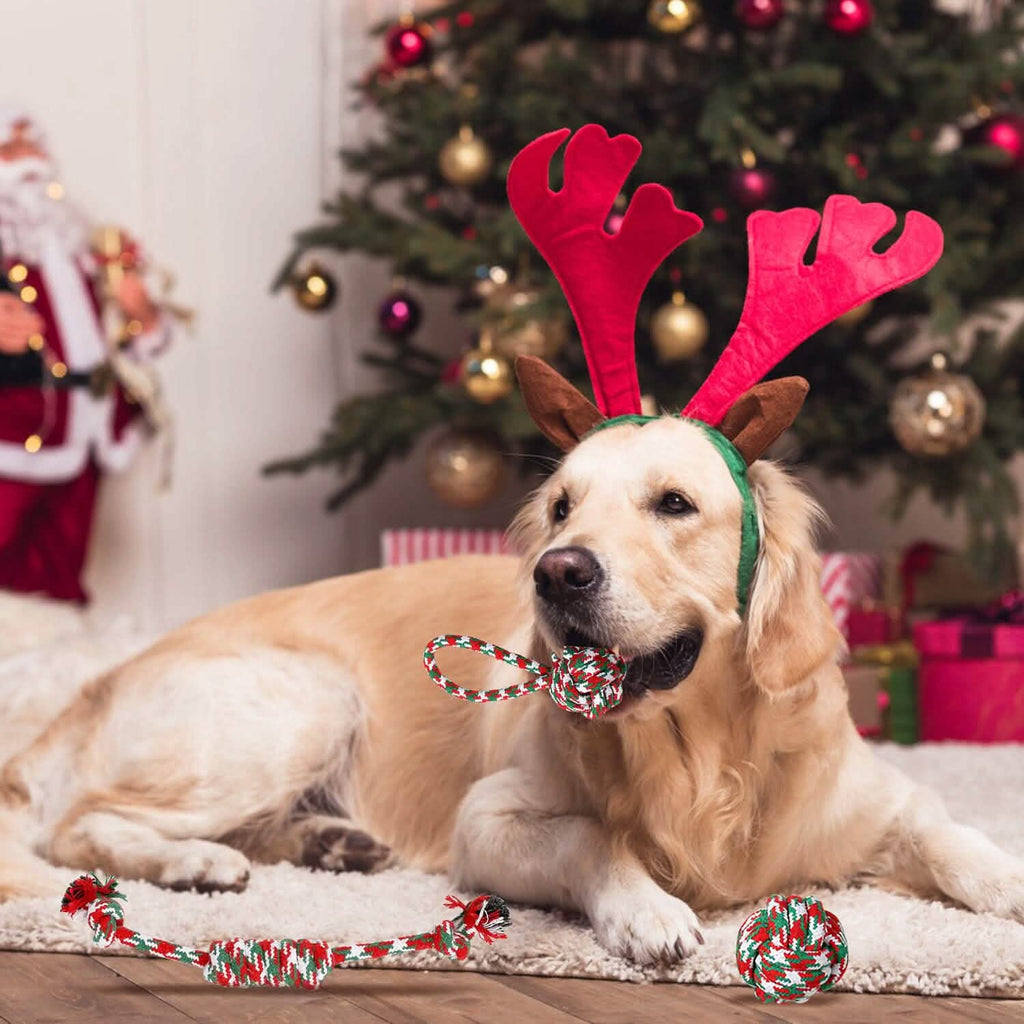 5-Pieces: Christmas Dog Rope Chew Toys by DailySale