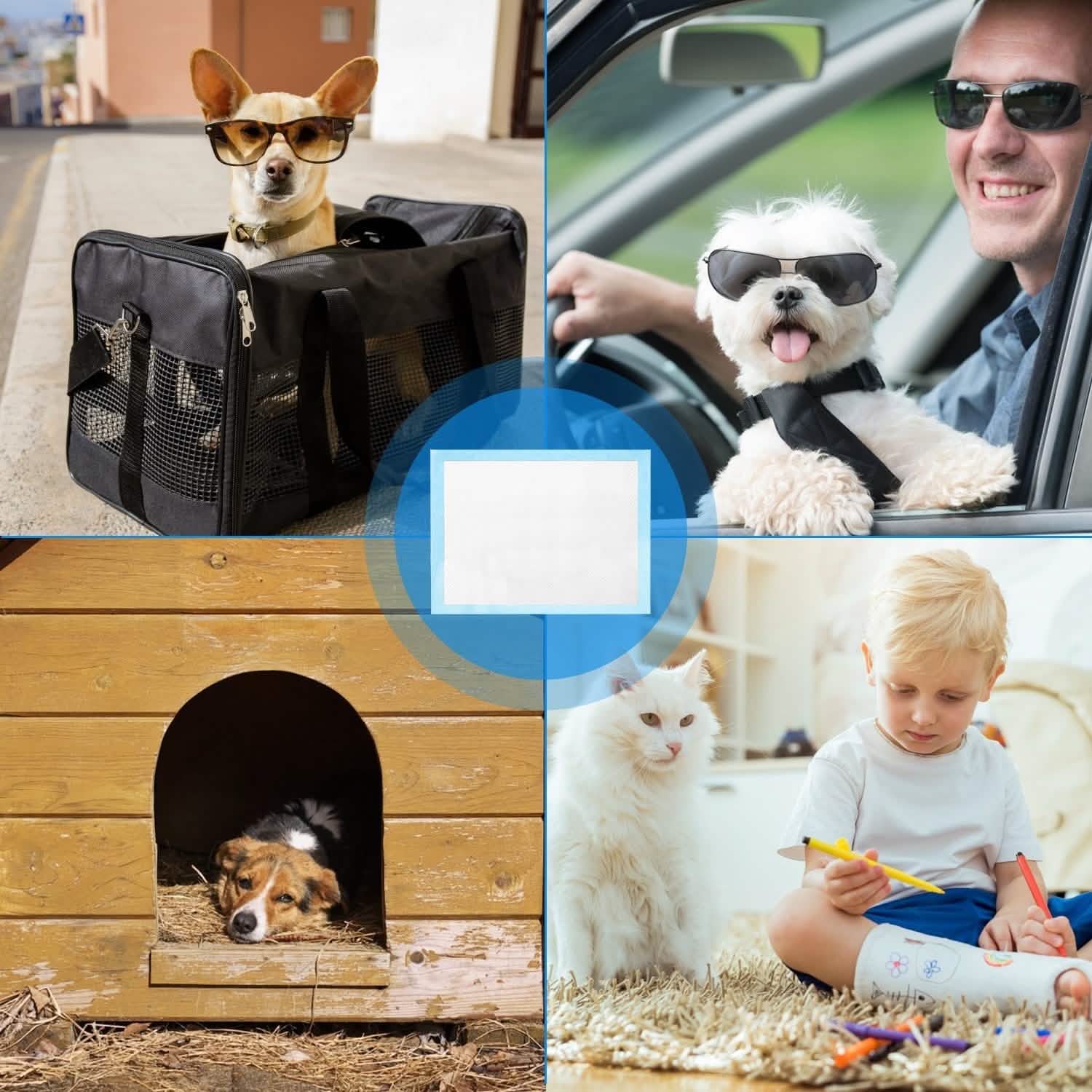 50-Piece: Dog Training Pads by DailySale