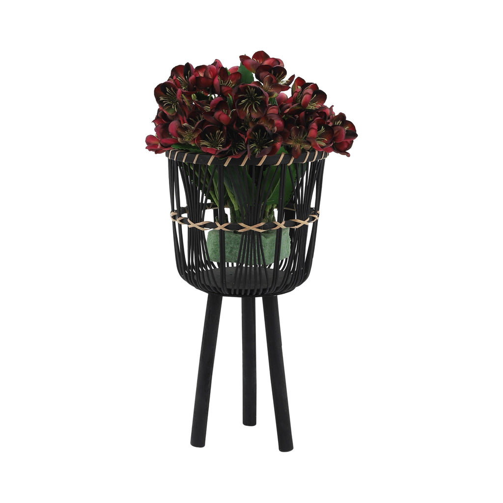 Bamboo Tripod Base Planters by Terra Cotta Botanical Boutique
