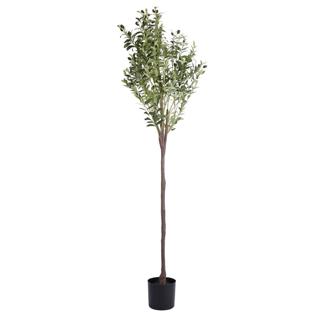 5.9ft Artificial Olive Tree with Lush Olive Branches and Fruits with Black Planter Pot by DailySale